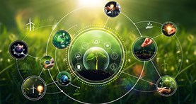 Circular Economy & Sustainability